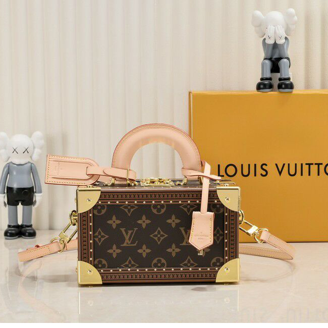 Louis Vuitton M45673 g1